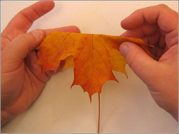 manualidades con hojas secas