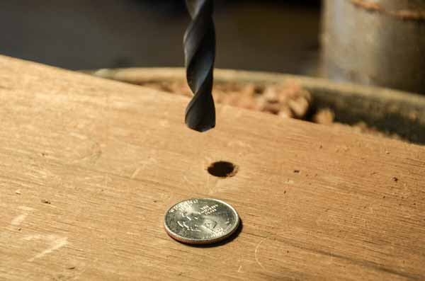 moneda en anillo preparacion