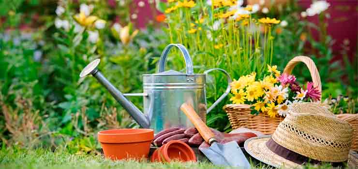 Consejos para jardines - destacada